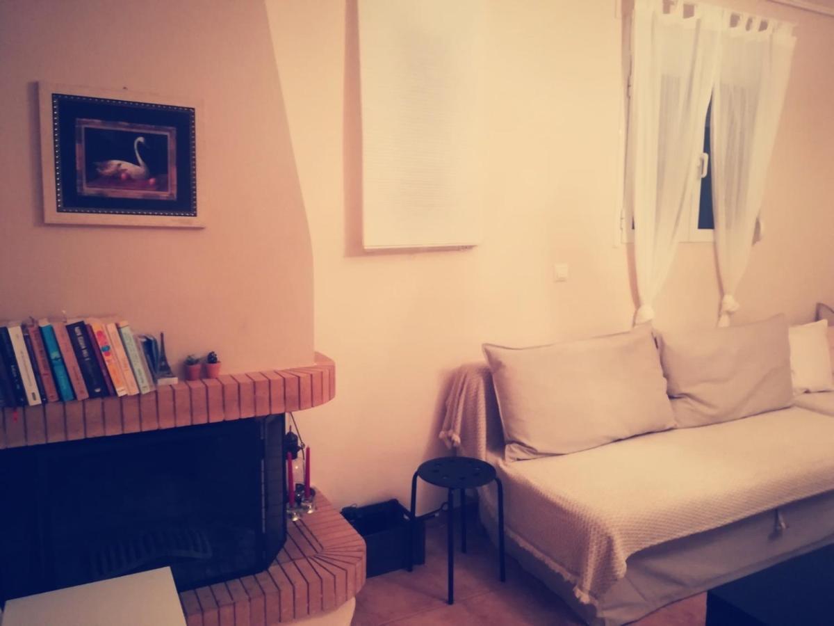 Villa Lux House Next To The Airport Of Athens. Transport 24H Artemida  Esterno foto